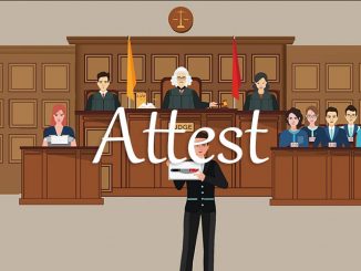 小词详解 | attest