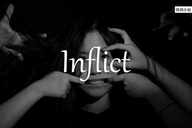 小词详解 | inflict