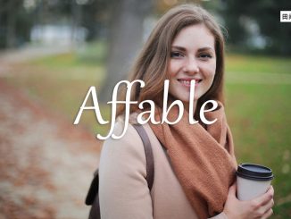 小词详解 | affable