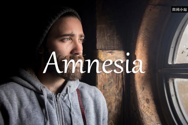 小词详解 | amnesia