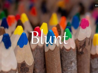 小词详解 | blunt