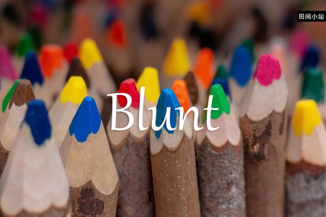 小词详解 | blunt