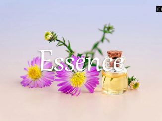 小词详解 | essence