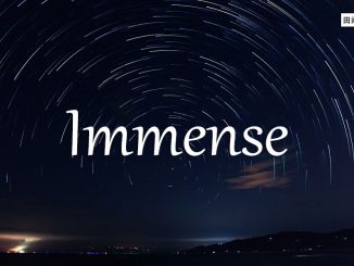 小词详解 | immense