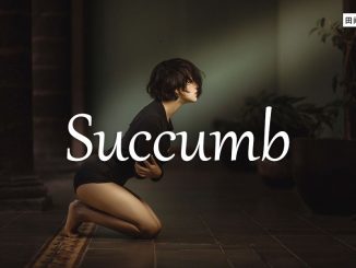 小词详解 | succumb