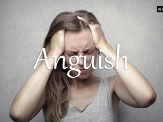 小词详解 | anguish