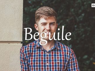小词详解 | beguile