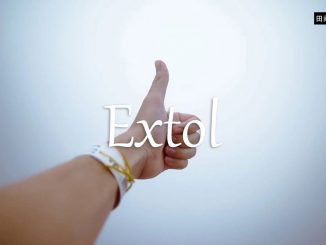 小词详解 | extol