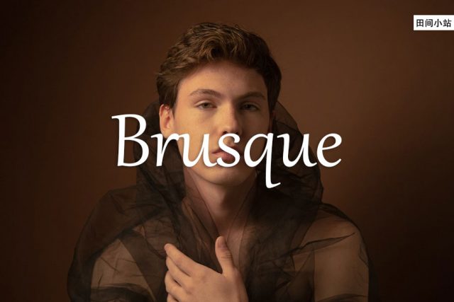 小词详解 | brusque