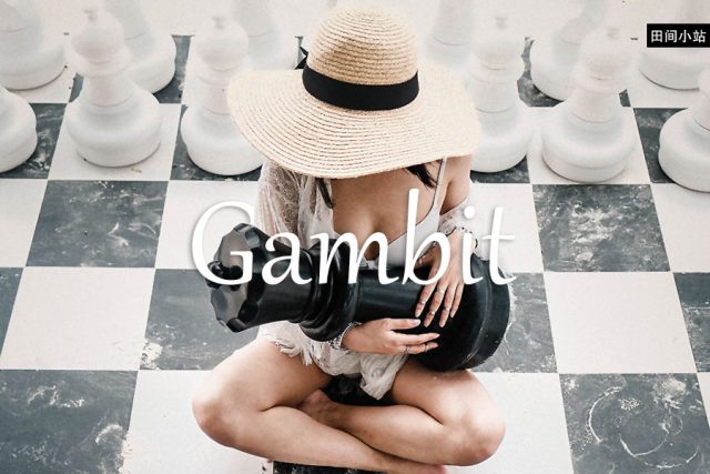 小词详解 | gambit