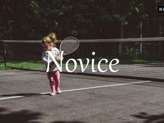 小词详解 | novice