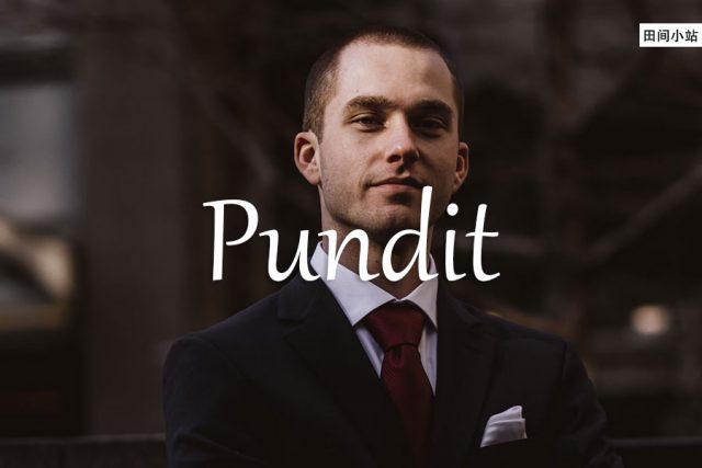 小词详解 | pundit