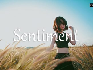 小词详解 | sentiment