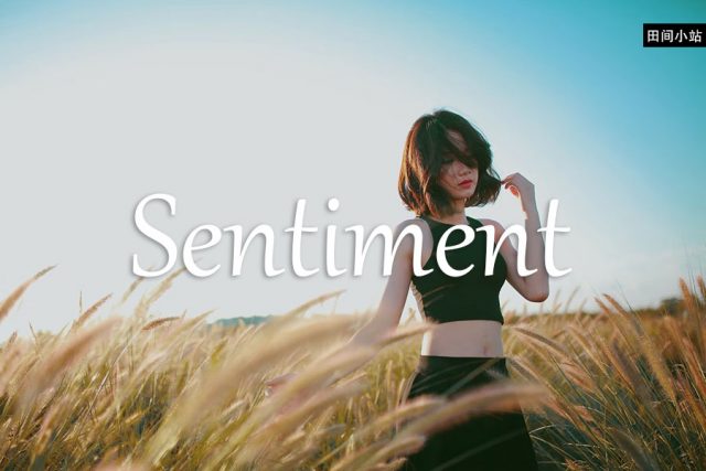 小词详解 | sentiment