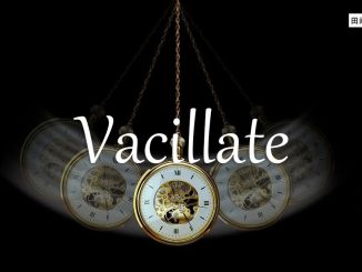 小词详解 | vacillate