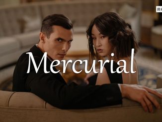 小词详解 | mercurial