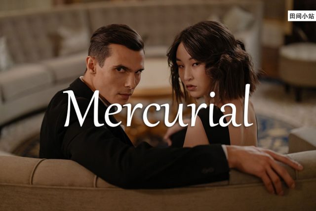 小词详解 | mercurial