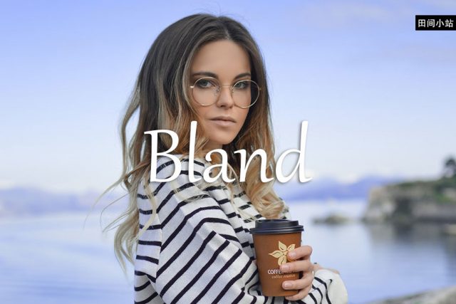 小词详解 | bland