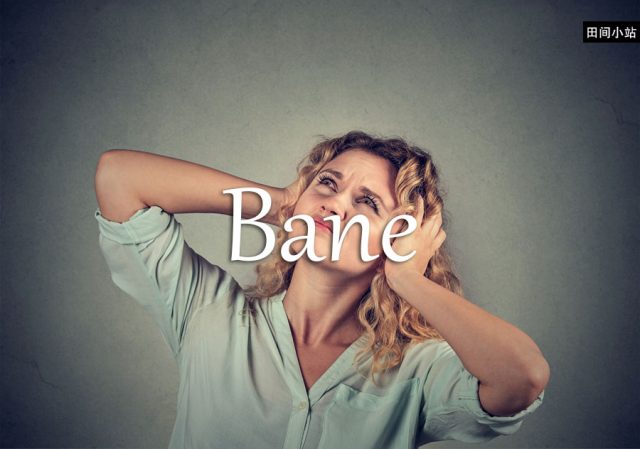 小词详解 | bane