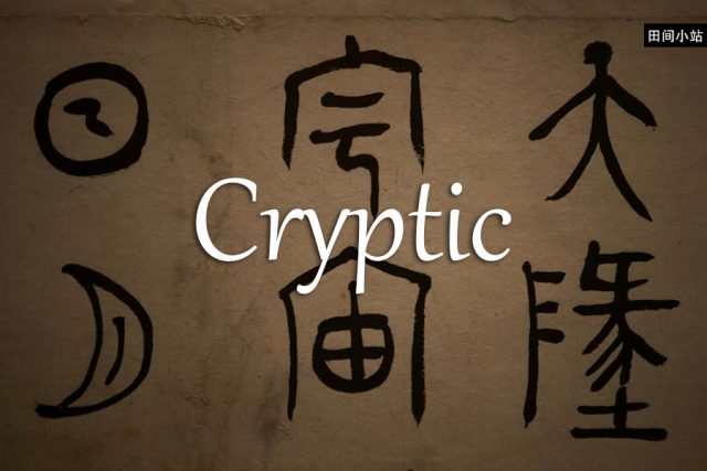 小词详解 | cryptic