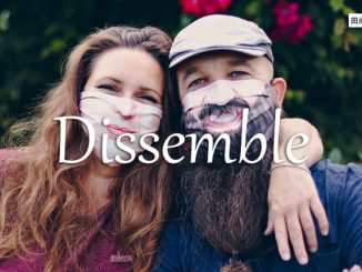 小词详解 | dissemble