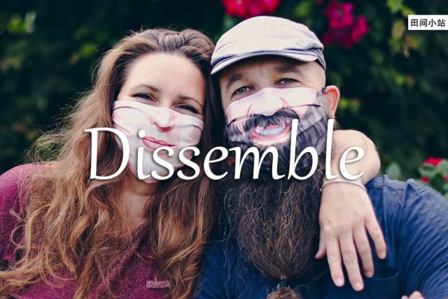 小词详解 | dissemble