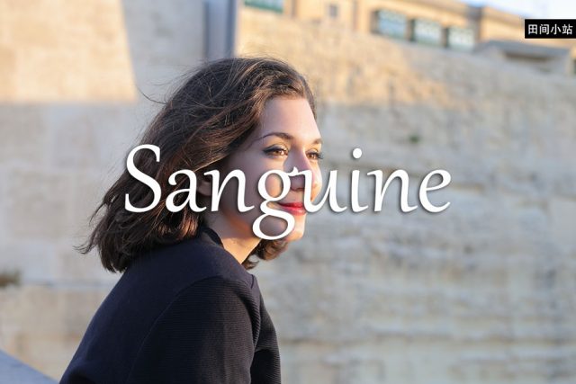 小词详解 | sanguine