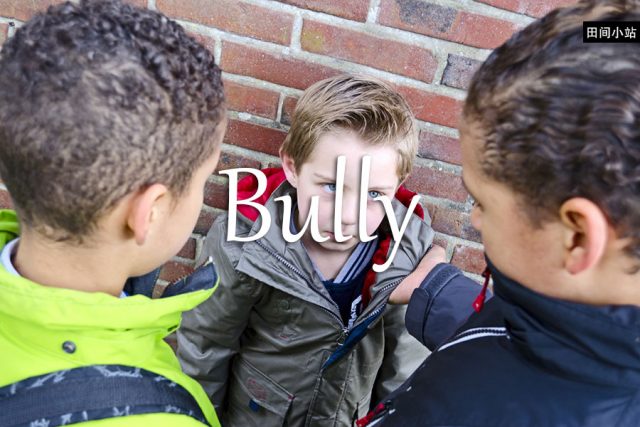 小词详解 | bully