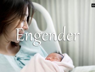 小词详解 | engender