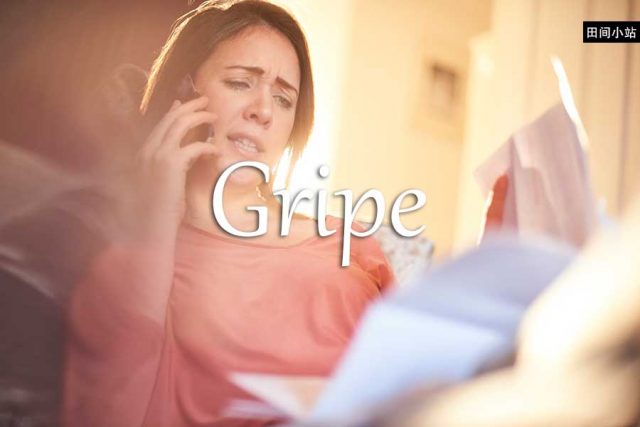 小词详解 | gripe