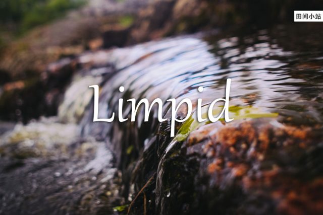 小词详解 | limpid