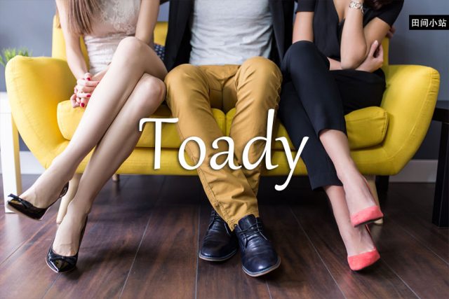 小词详解 | toady