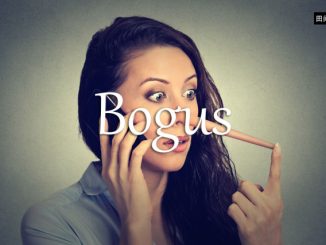 小词详解 | bogus