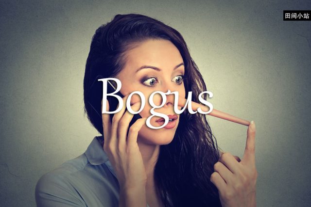 小词详解 | bogus