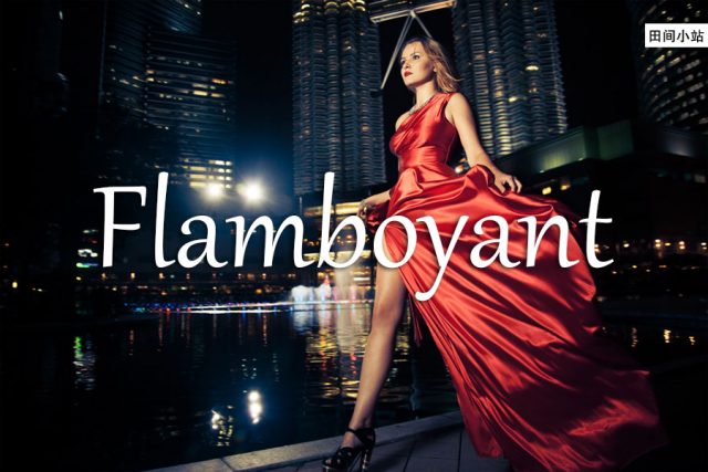 小词详解 | flamboyant