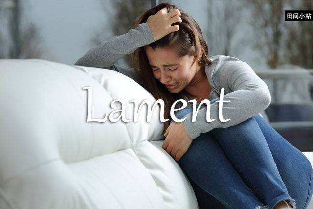 小词详解 | lament