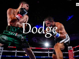小词详解 | dodge