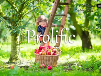 小词详解 | prolific