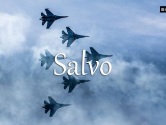 小词详解 | salvo