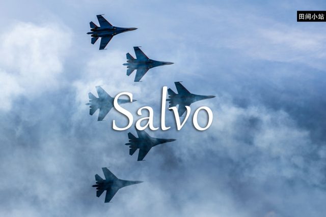 小词详解 | salvo