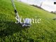小词详解 | stymie
