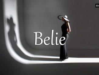 小词详解 | belie