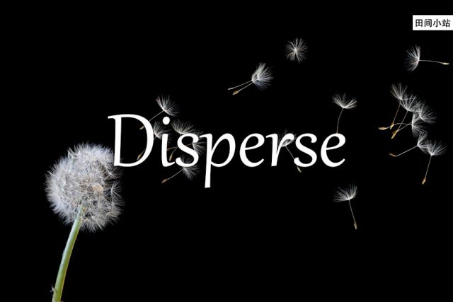 小词详解 | disperse