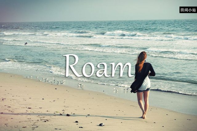 小词详解 | roam