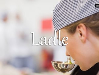 小词详解 | ladle