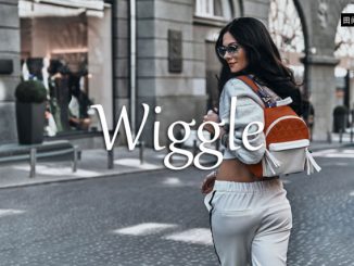 小词详解 | wiggle