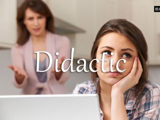 小词详解 | didactic