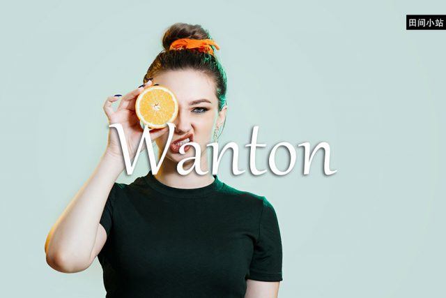 小词详解 | wanton