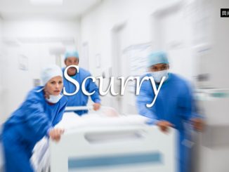 小词详解 | scurry