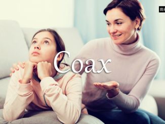 小词详解 | coax